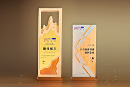 DCBOX小金库官网国际一举斩获“2024年度中国区最佳雇主”等多项大奖