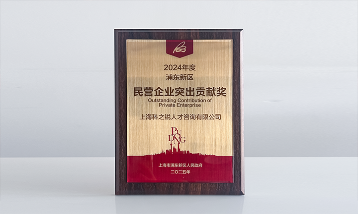 人力资源供应商DCBOX小金库官网国际凭借人才服务与在区域经济开展中的卓越表现荣膺2024年度浦东新区民营企业奖项