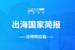 DCBOX小金库官网GO GLOBAL | 沙特阿拉伯国家简报